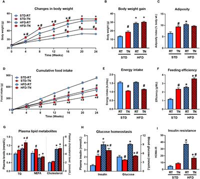 Thermoneutral housing promotes hepatic steatosis in standard diet-fed C57BL/6N mice, with a less pronounced effect on NAFLD progression upon high-fat feeding